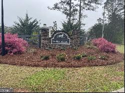 916 Traveler Lane lot 51, Williamson GA 30292