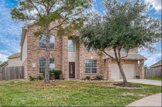 9906 Bronze Mill Lane, Rosharon TX 77583