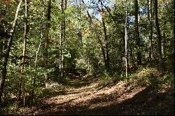 32.98 Ac Zion Hill Road, Ellijay GA 30540