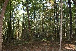 32.98 Ac Zion Hill Road, Ellijay GA 30540