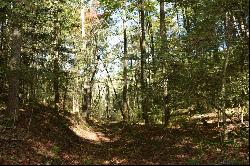 32.98 Ac Zion Hill Road, Ellijay GA 30540