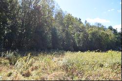 32.98 Ac Zion Hill Road, Ellijay GA 30540