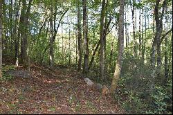 32.98 Ac Zion Hill Road, Ellijay GA 30540