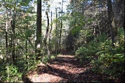 32.98 Ac Zion Hill Road, Ellijay GA 30540