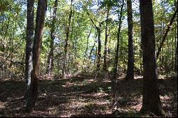 32.98 Ac Zion Hill Road, Ellijay GA 30540