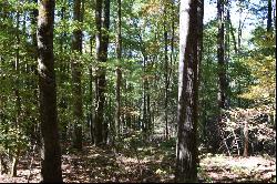 32.98 Ac Zion Hill Road, Ellijay GA 30540