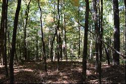 32.98 Ac Zion Hill Road, Ellijay GA 30540