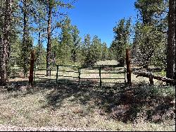 3 Bluebird Road, Ramah NM 87321