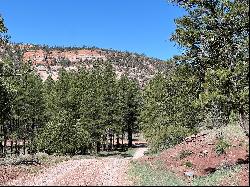 3 Bluebird Road, Ramah NM 87321