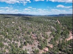 3 Bluebird Road, Ramah NM 87321