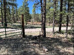 3 Bluebird Road, Ramah NM 87321