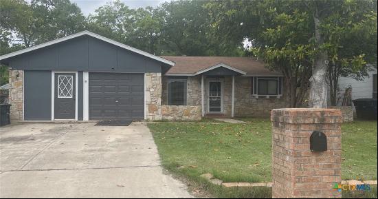 1505 Eichen Road, New Braunfels TX 78130