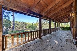 16030 Schaefer Ranch Road, Pioneer, CA 95666