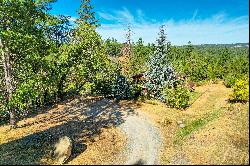 16030 Schaefer Ranch Road, Pioneer, CA 95666