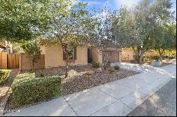 1463 E Warbler Road, Gilbert AZ 85297