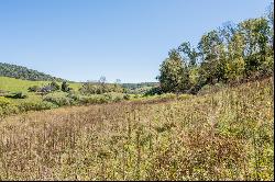 4 ACRES TBD Carsonville Rd #N/A, Fries VA 24330