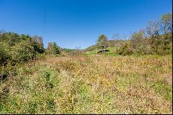 4 ACRES TBD Carsonville Rd #N/A, Fries VA 24330