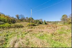 4 ACRES TBD Carsonville Rd #N/A, Fries VA 24330