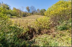 4 ACRES TBD Carsonville Rd #N/A, Fries VA 24330