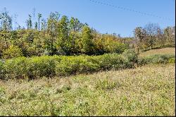 4 ACRES TBD Carsonville Rd #N/A, Fries VA 24330