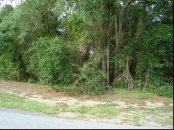 Tbd SE 74th Avenue, Belleview FL 34421