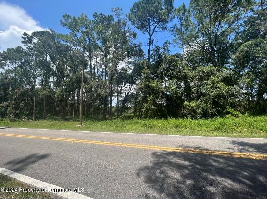 Madonna Drive, Webster FL 33597