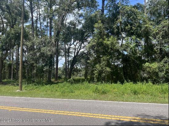 Richardson Boulevard Lot 1, Webster FL 33597