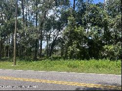 Richardson Boulevard Lot 1, Webster FL 33597