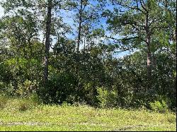 0 Madonna Drive, Webster FL 33597