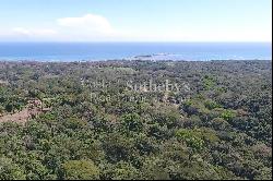 Cabuya Ocean View Development Land