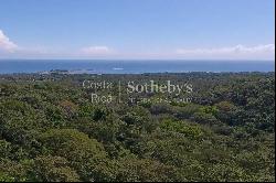 Cabuya Ocean View Development Land