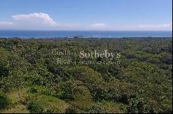 Cabuya Ocean View Development Land