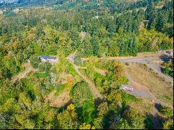 4959 Green Mountain Rd, Kalama WA 98625