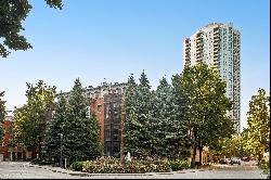 penthouse in the Kinzie Park tower