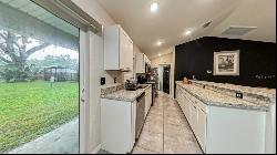 3414 SE 139th Lane, Summerfield FL 34491