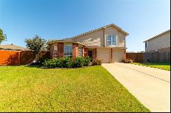 8732 Eaglestone Way, Fort Worth TX 76244