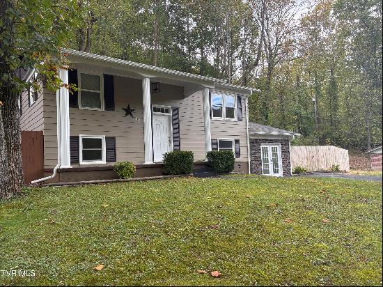 250 Wallens Ridge Boulevard, Big Stone Gap VA 24219