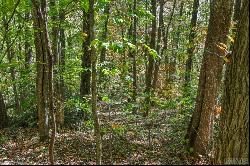 Lot 89 Black Oak Drive, Sapphire NC 28774