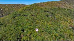 Lot 89 Black Oak Drive, Sapphire NC 28774