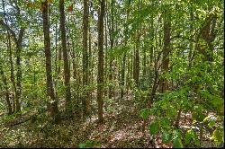 Lot 89 Black Oak Drive, Sapphire NC 28774