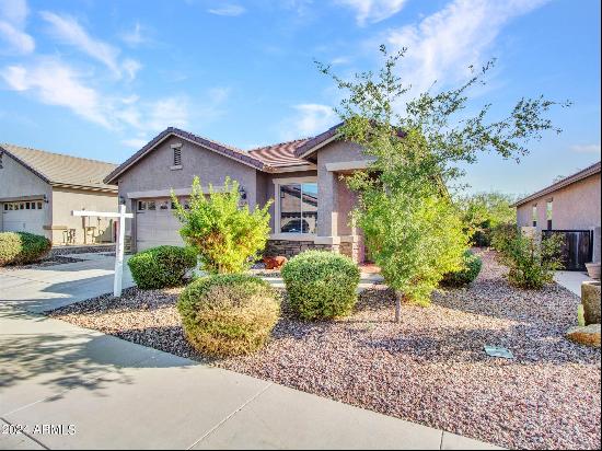 535 S 224th Drive, Buckeye AZ 85326