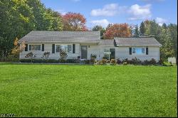 164 Mountain Ave, Warren Twp. NJ 07059