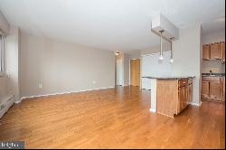 2101 Chestnut Street Unit 1516, Philadelphia PA 19103