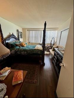 1150 N Lake Shore Drive #17G, Chicago IL 60611