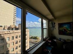 1150 N Lake Shore Drive #17G, Chicago IL 60611