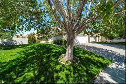 3739 Agave Circle, Lancaster CA 93536