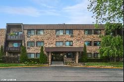 1205 E Hintz Road #205, Arlington Heights IL 60004