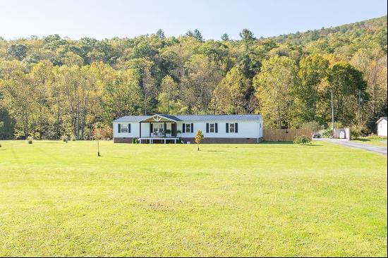 11504 Grapefield Rd, Bastian VA 24314