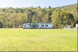 11504 Grapefield Rd, Bastian VA 24314