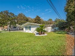 6 Porter Lane, Jekyll Island GA 31527